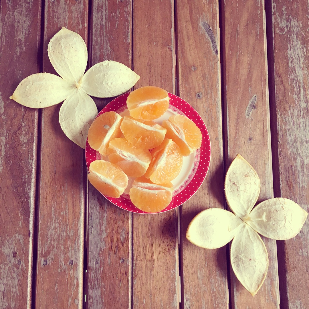 万能的可能--煎炒烹炸煨炖炙烤 粥粉面饭汤羹饼糕