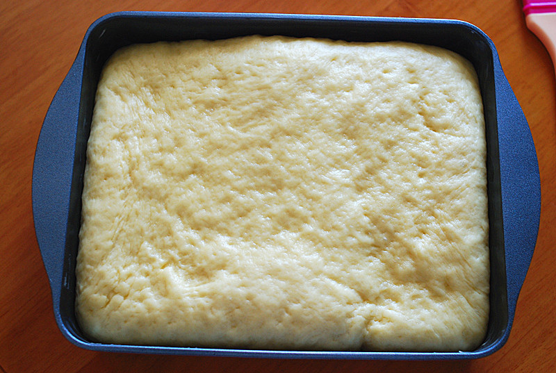 葱香肉松面包卷(汤种)的做法 步骤9