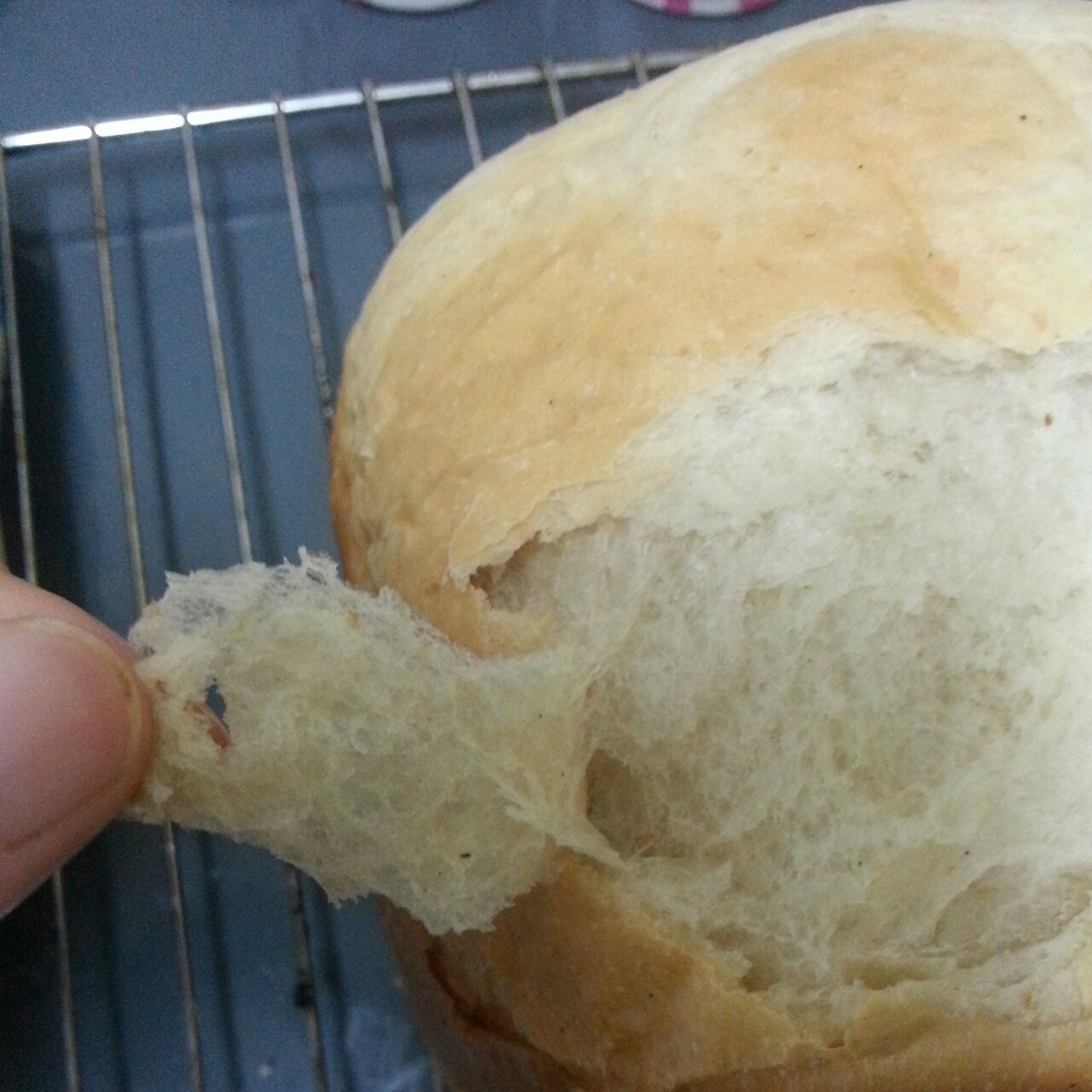 面包机揉面搅拌40分钟的状态