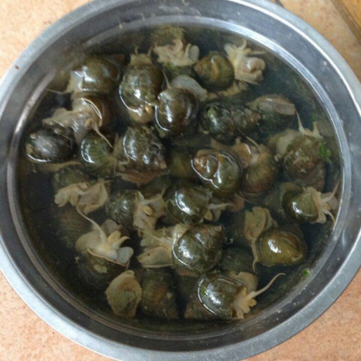 食材日日鲜
