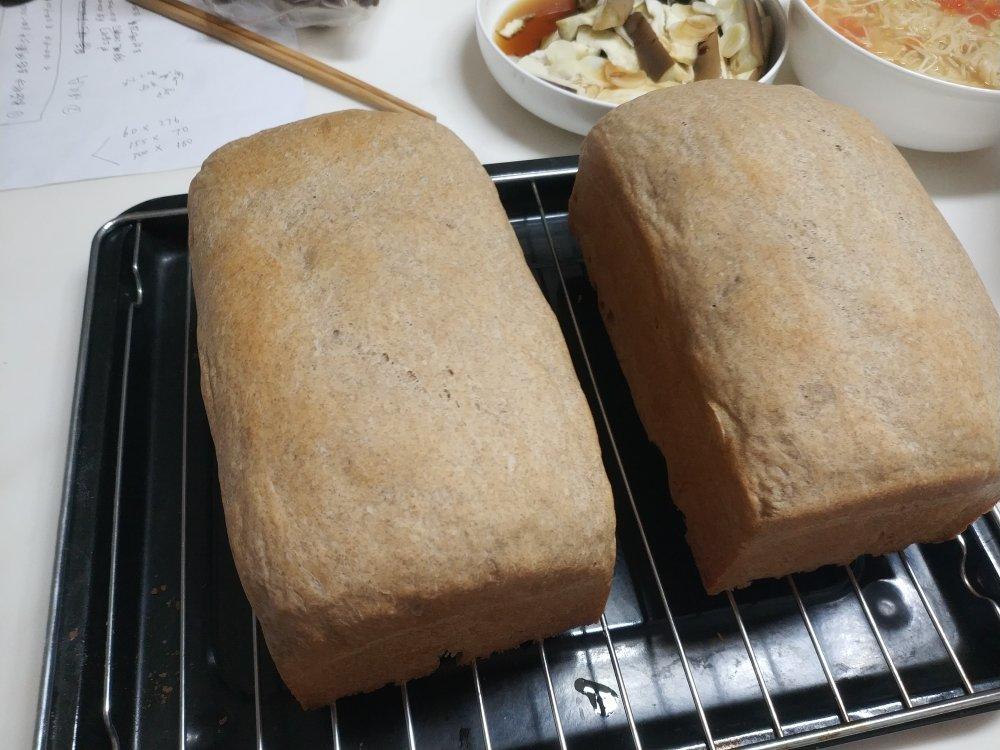 酸奶荞麦吐司（全种法）