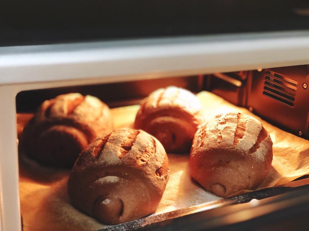 可可牛奶哈斯面包