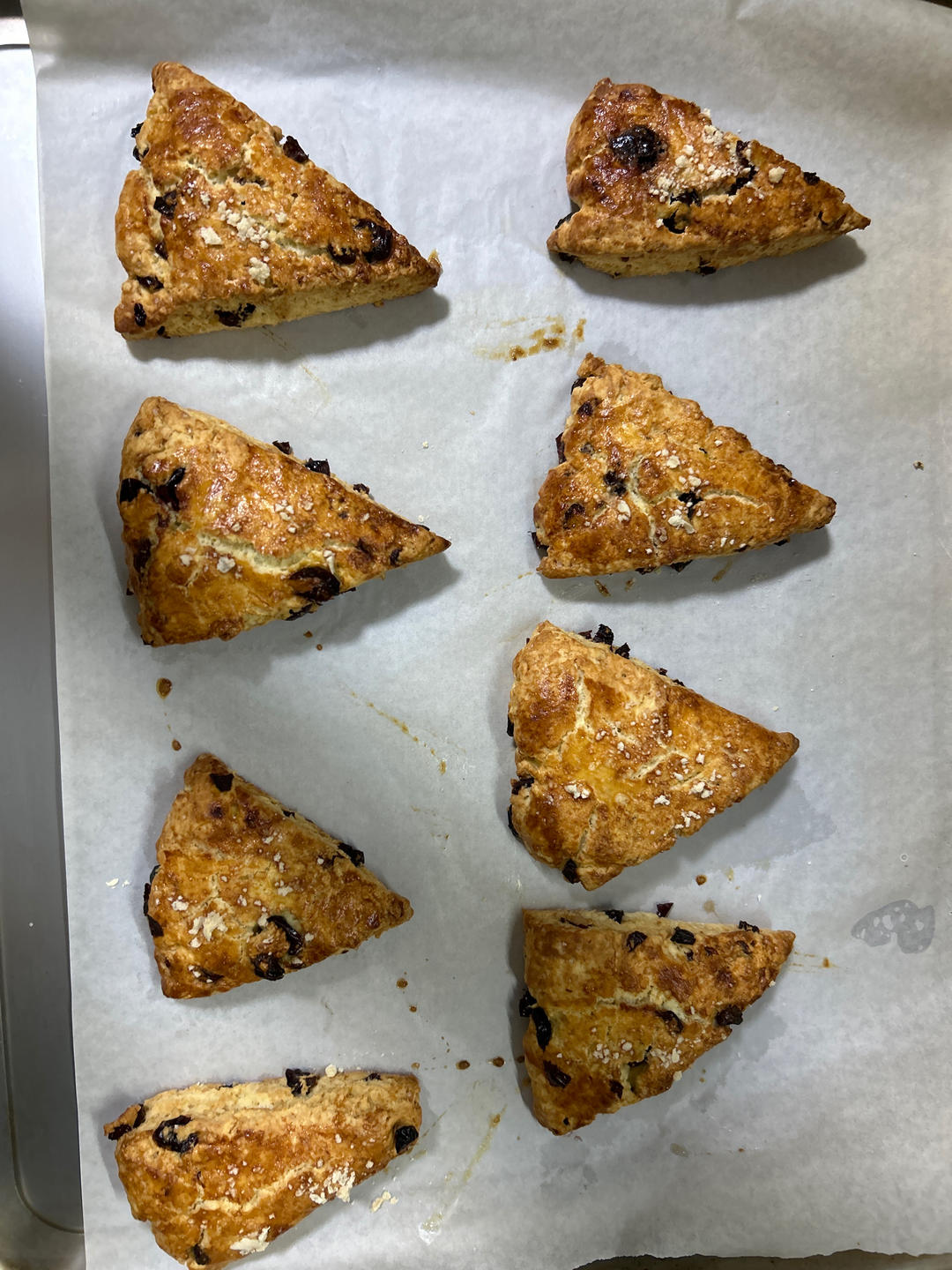 满屋飘香，口口都是满足——酥松香甜的蔓越莓蜜豆司康