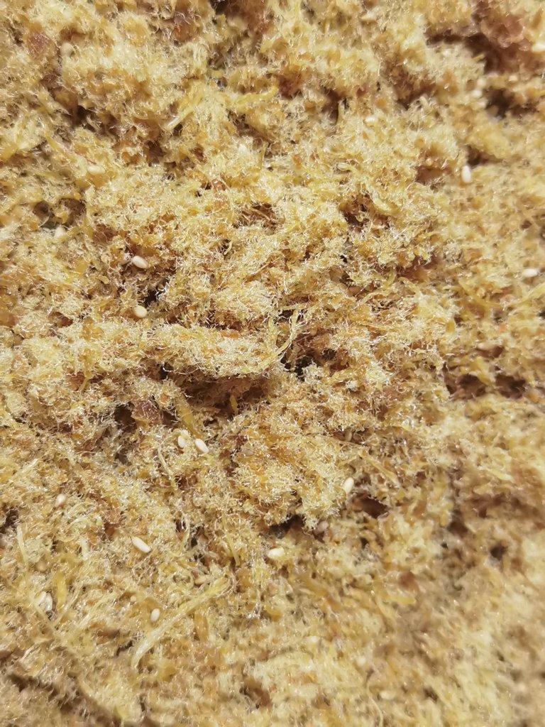 自制肉松（厨师机、烤箱版)