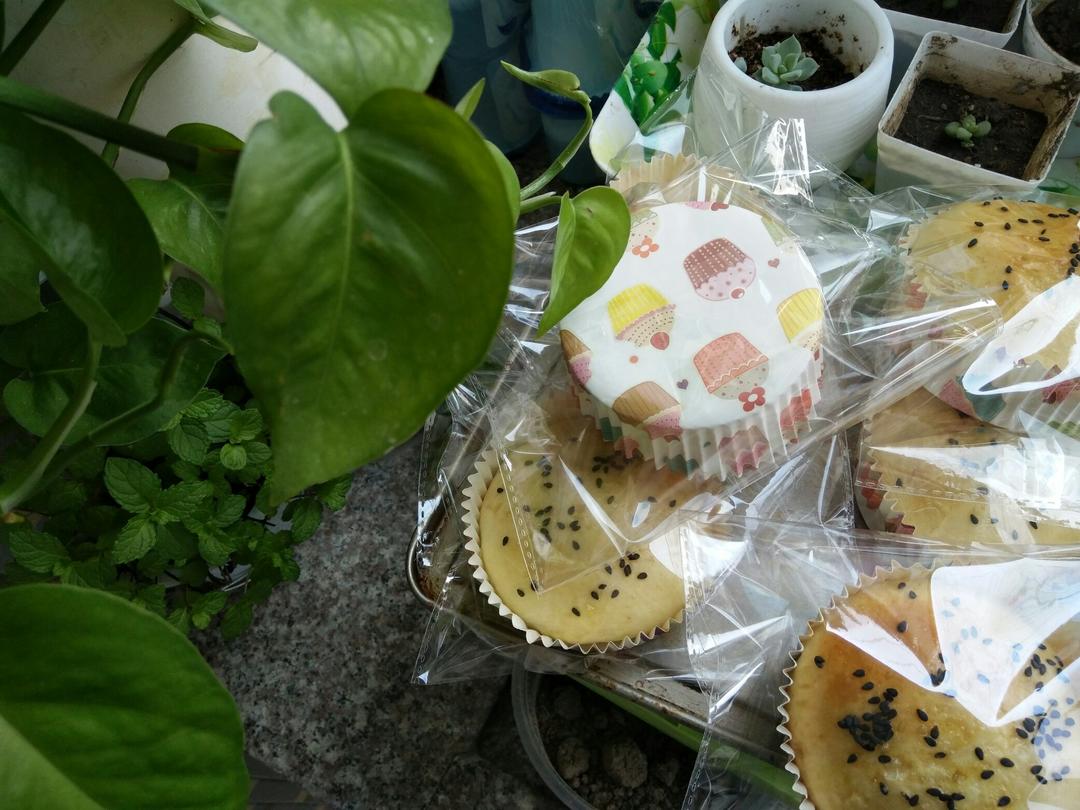 豆沙面包