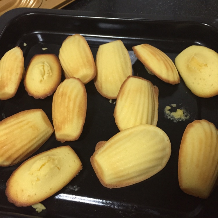 玛德琳（蓝带方）