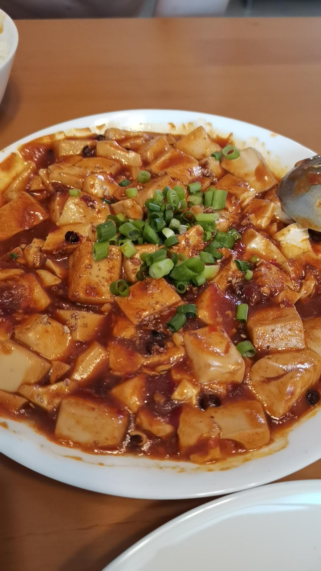 简单易学的下饭菜麻婆豆腐（素版）