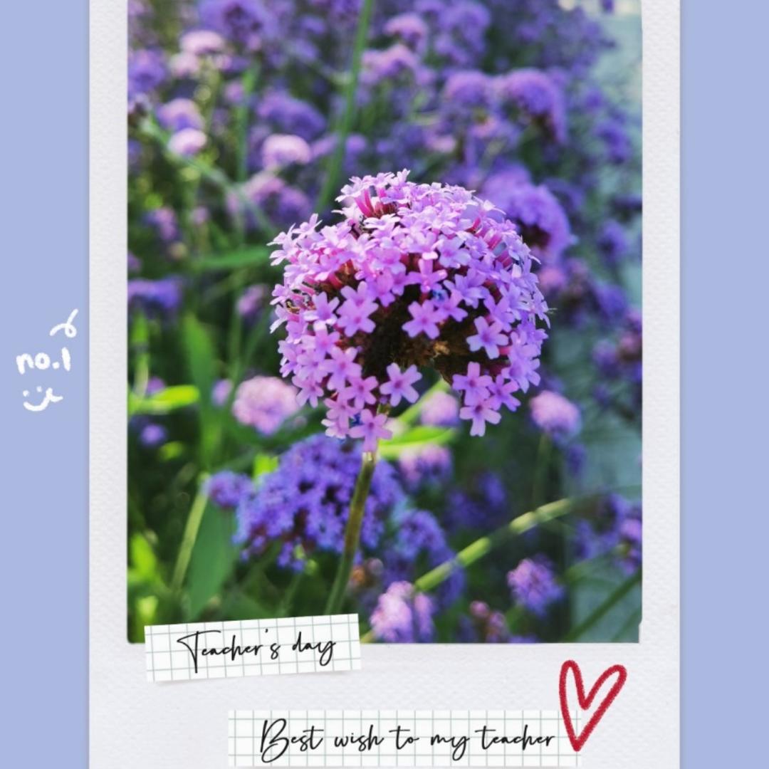 真的没有昵称啊