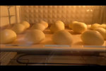 木薯淀粉版麻薯面包
