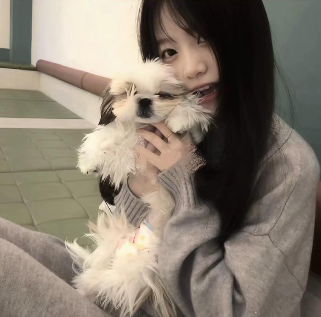 懒猫-
