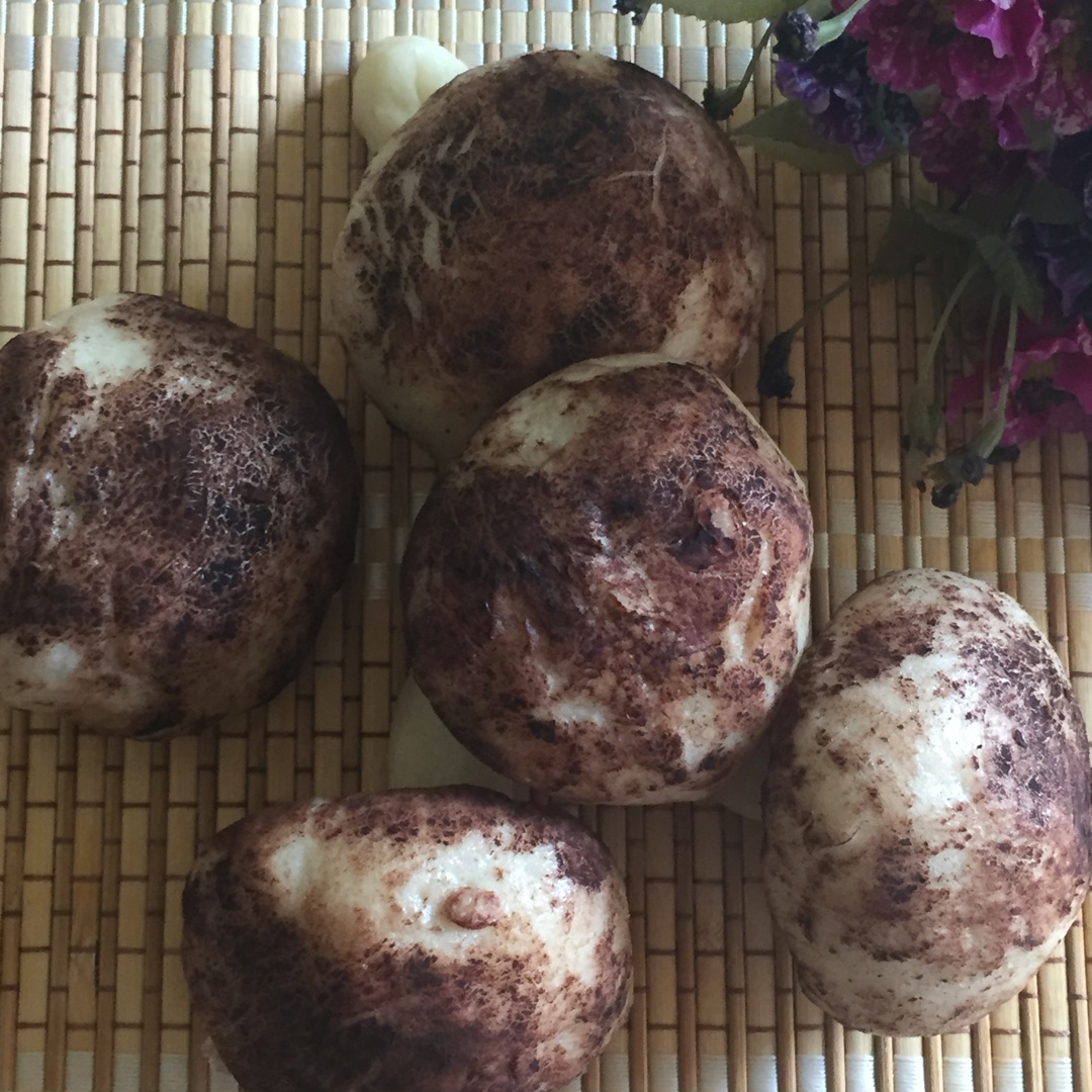 蘑菇包