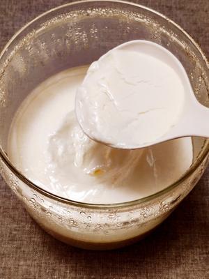 用奶粉做的老酸奶的做法 步骤5