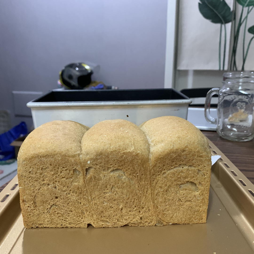 酸奶100%全麦无糖油吐司（波兰种），更柔软·健身首选