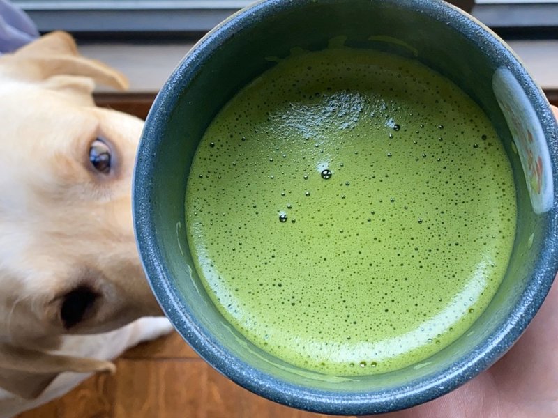 步骤图 日式抹茶茶道 打抹茶的做法 日式抹茶茶道 打抹茶的做法步骤 日式 下厨房 步骤图 日式抹茶茶道 打抹茶的做法 日式抹茶茶道 打抹茶的做法步骤 日式 下厨房