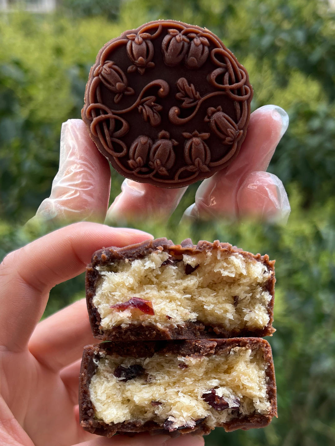 巧克力椰蓉蔓越莓月饼