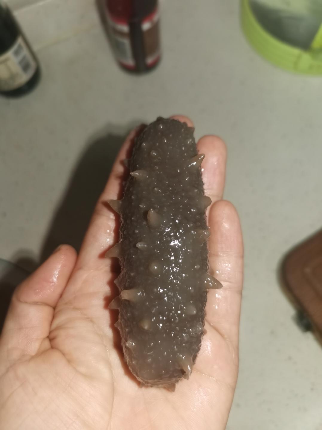 海参泡发攻略