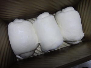 柔风吐司（Japanese Soft Toast）的做法 步骤12