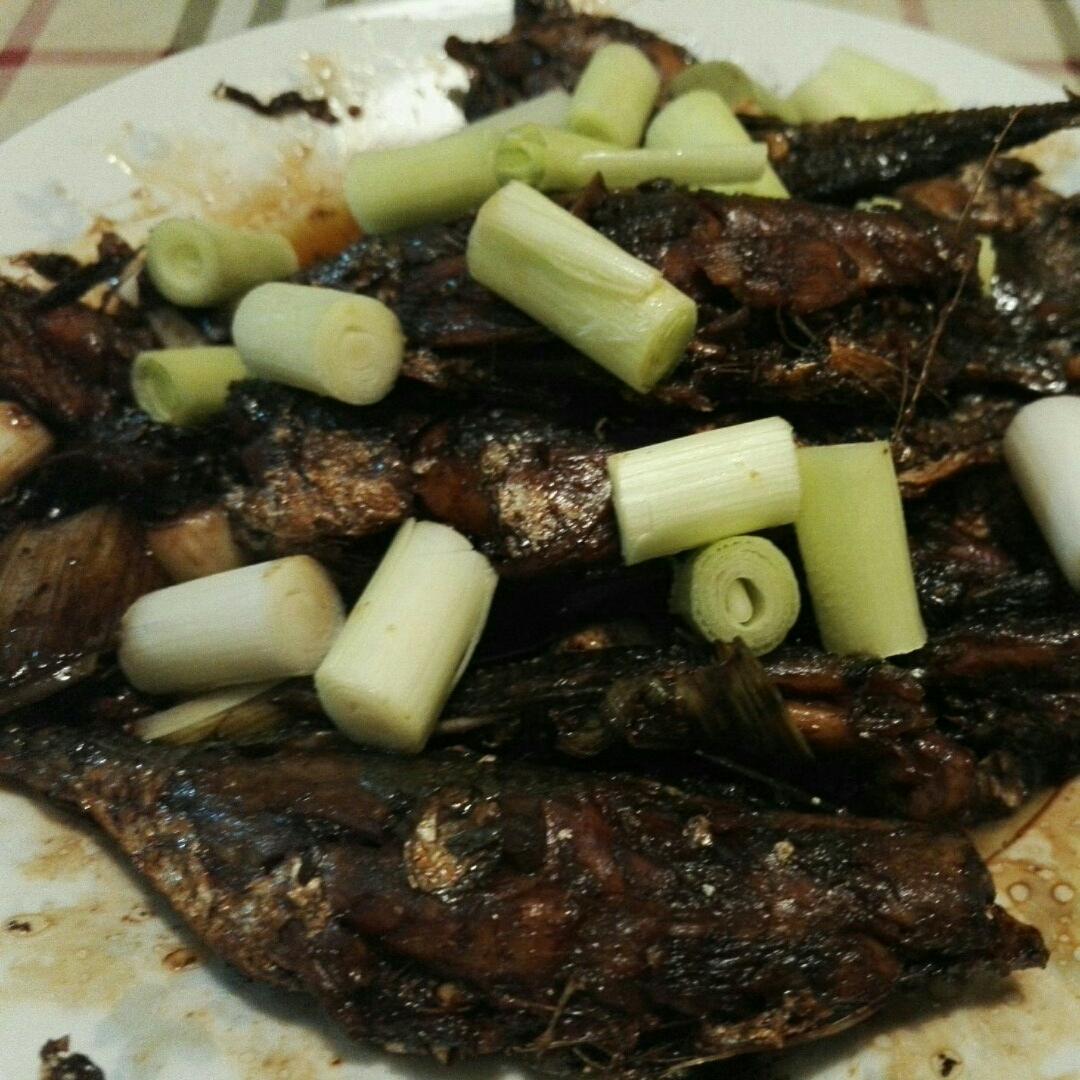 红烧沙丁鱼