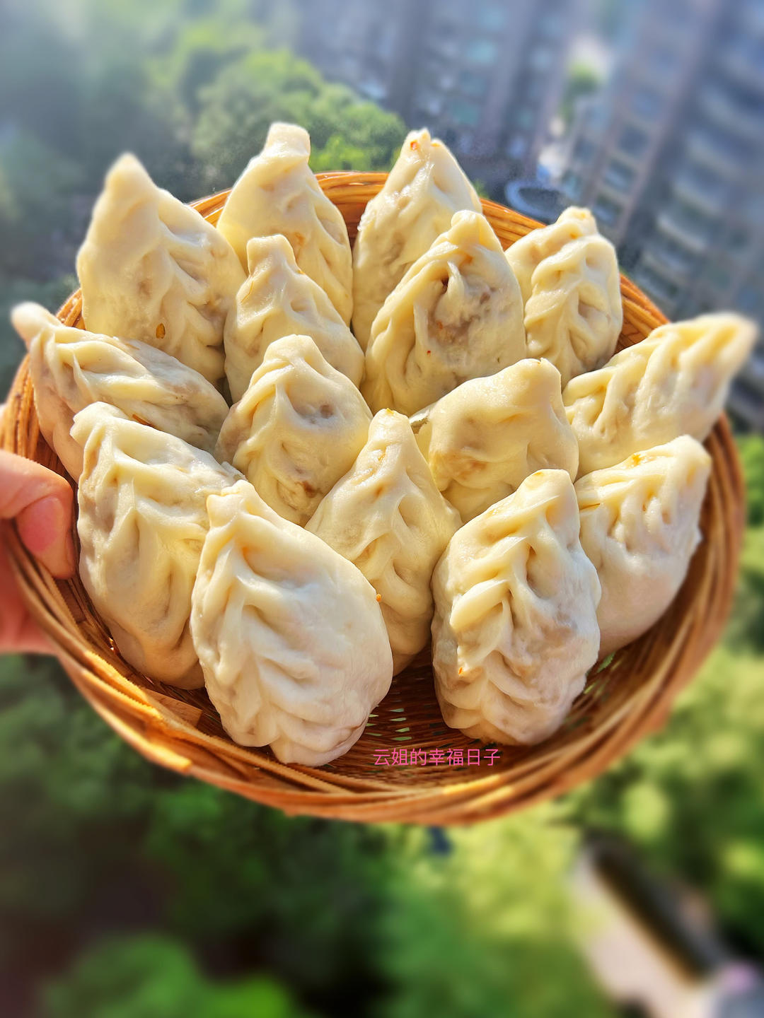 三荤七素菜包子