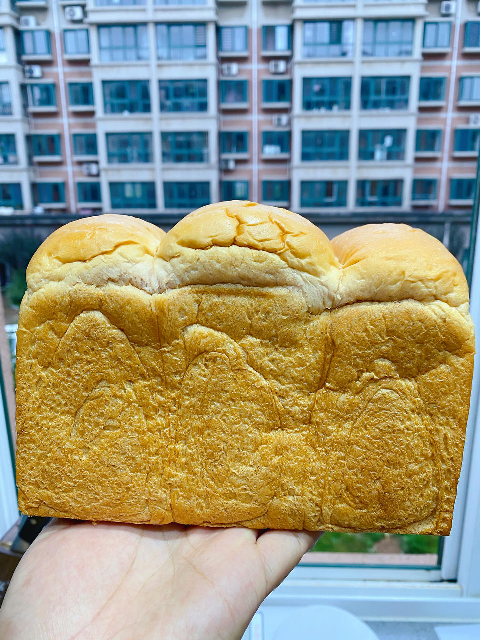 汤种紫薯吐司（只需一次发酵，省时省力）