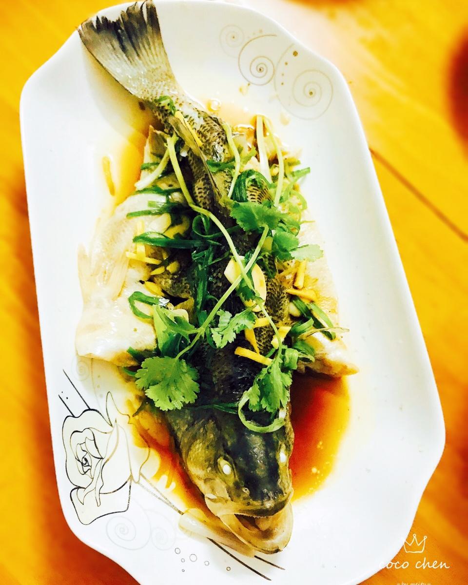 清蒸鲈鱼