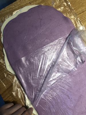 奶香紫薯双色馒头卷的做法 步骤6