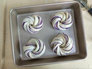浪漫紫薯包✨的做法 步骤7