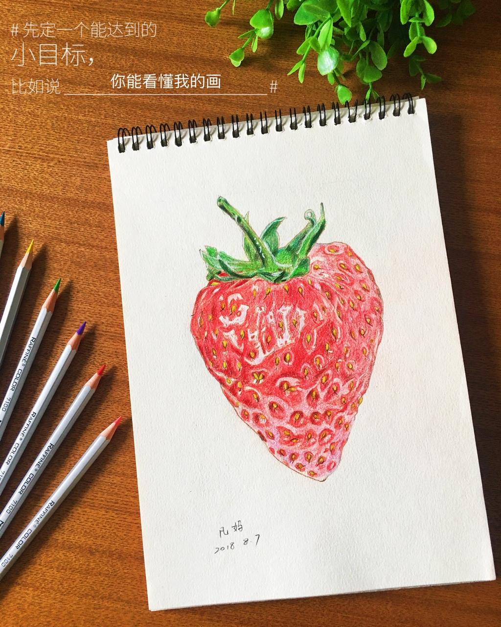 不负时光
