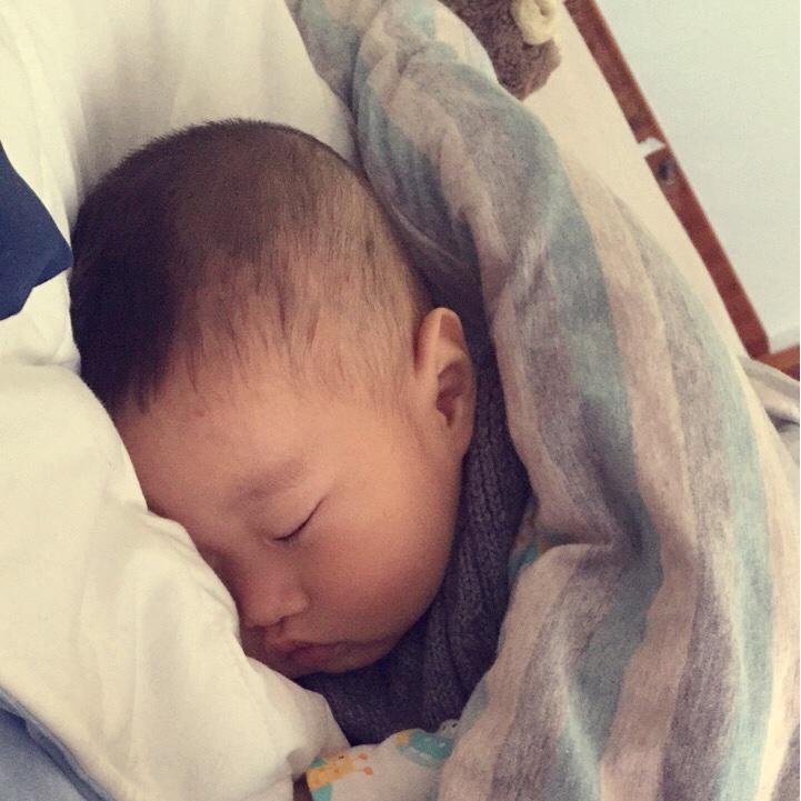 宁波小趴菜