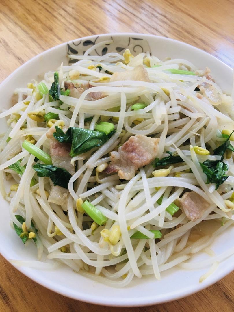发绿豆芽