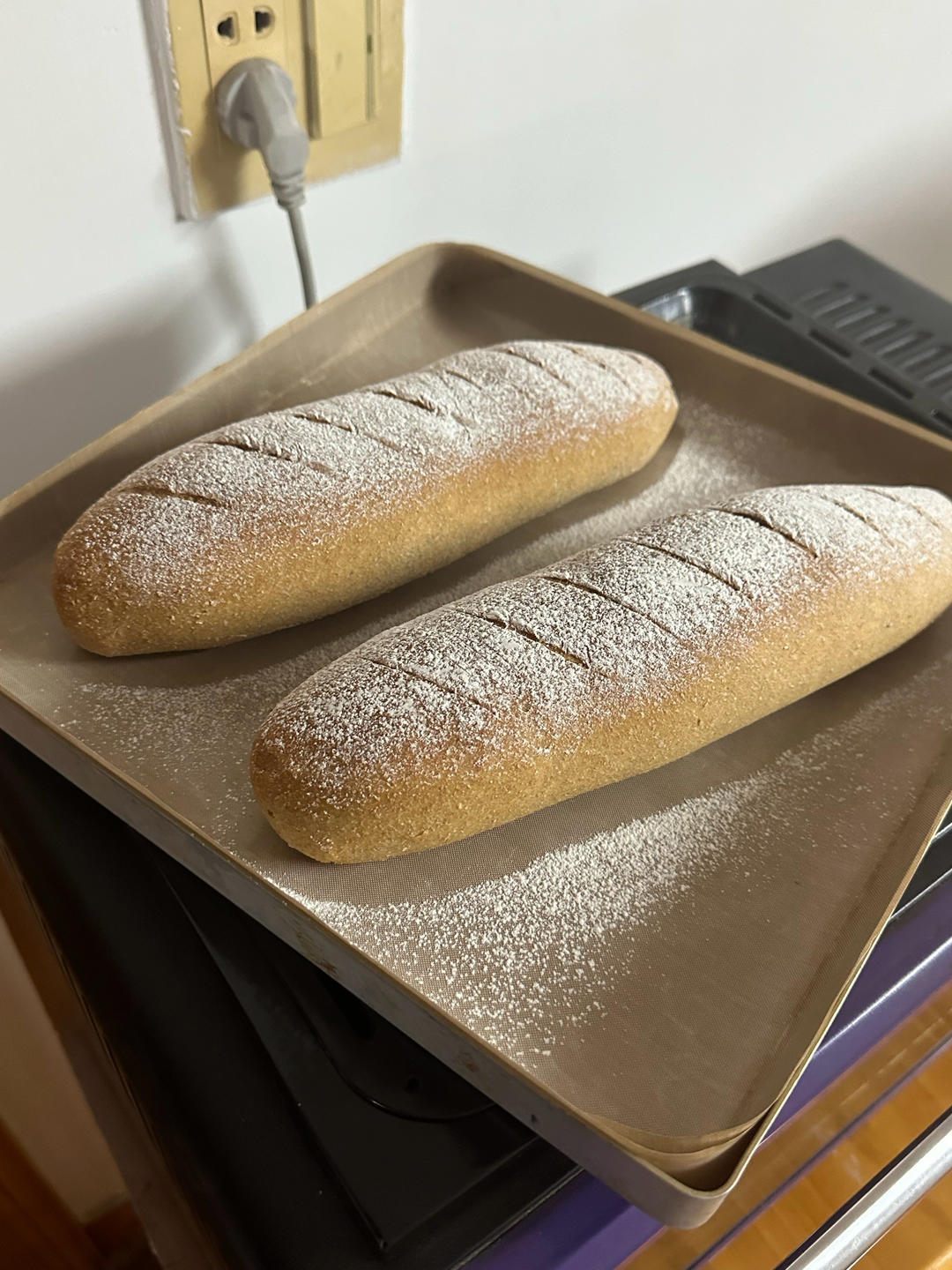 无糖无油【全麦坚果欧包】消耗乳清