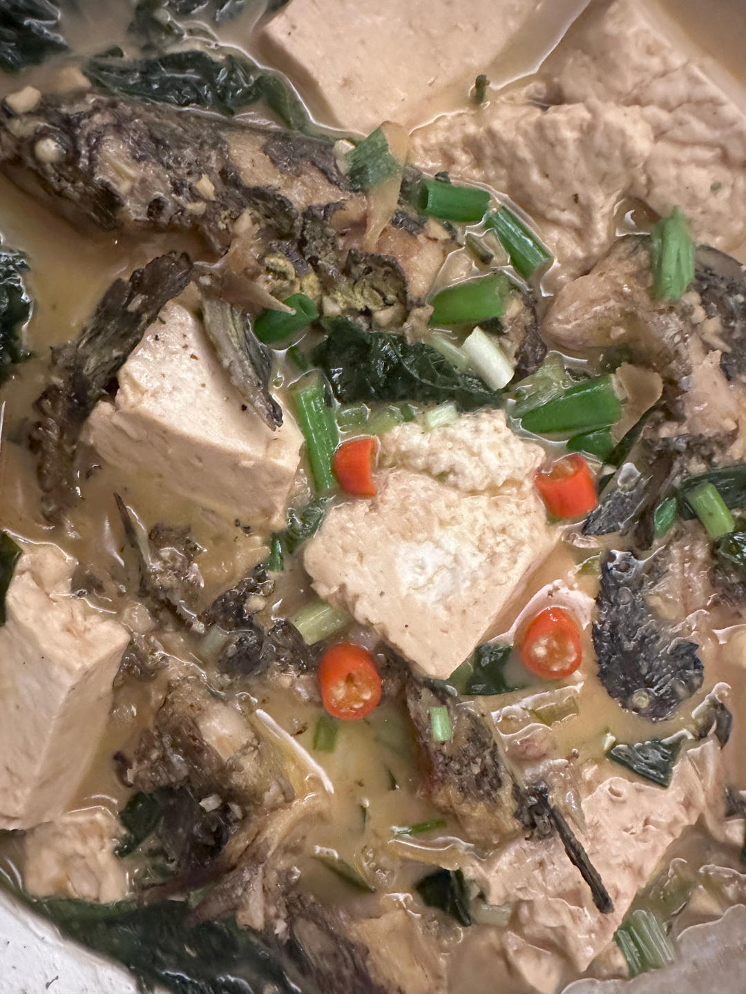 黄骨鱼（黄鸭叫）炖豆腐-湘菜版