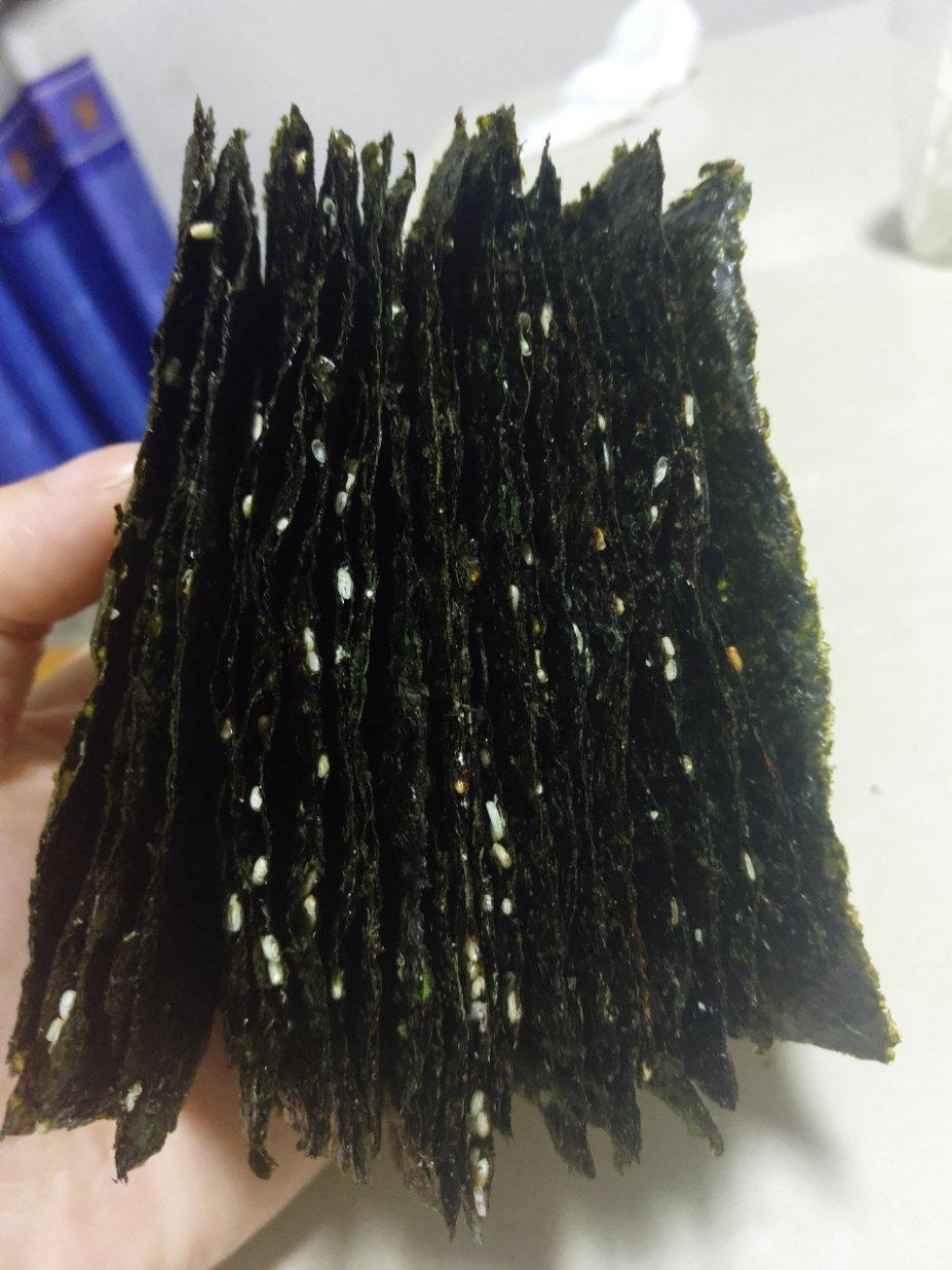 芝麻夹心海苔（公开酱料版）