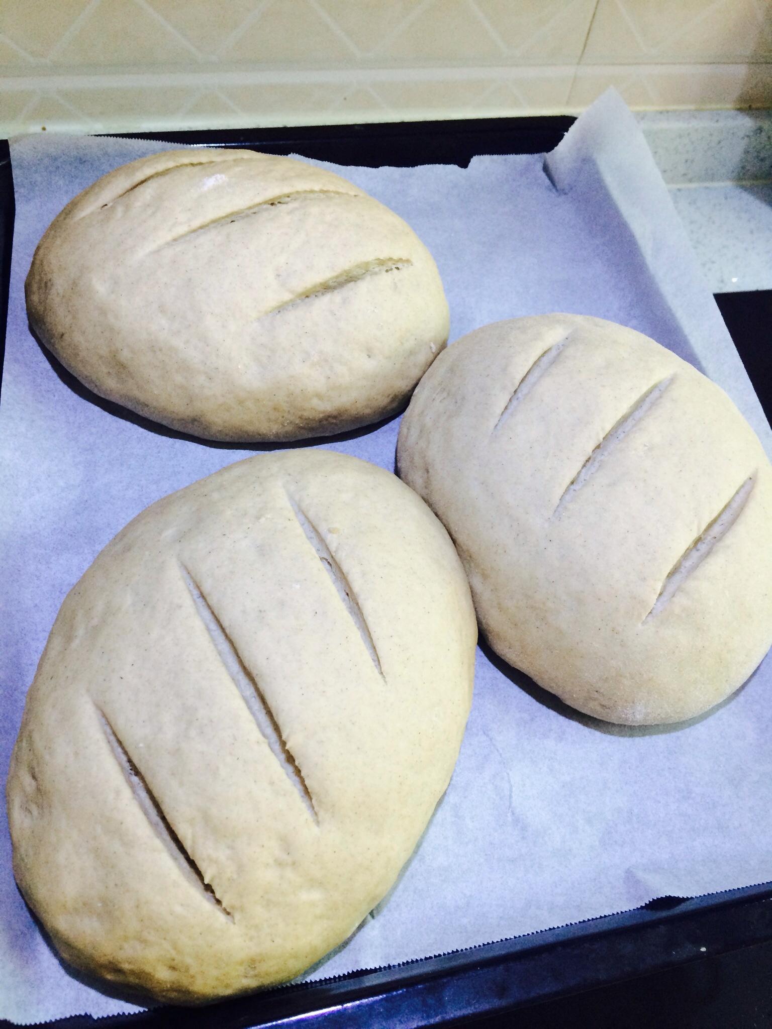 快手黑麦面包，低糖低脂版的做法 步骤3