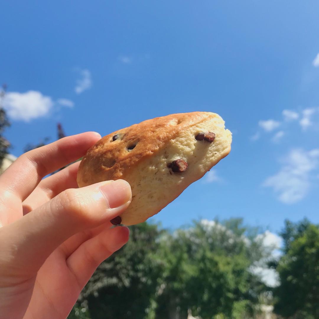酵母司康饼【视频】