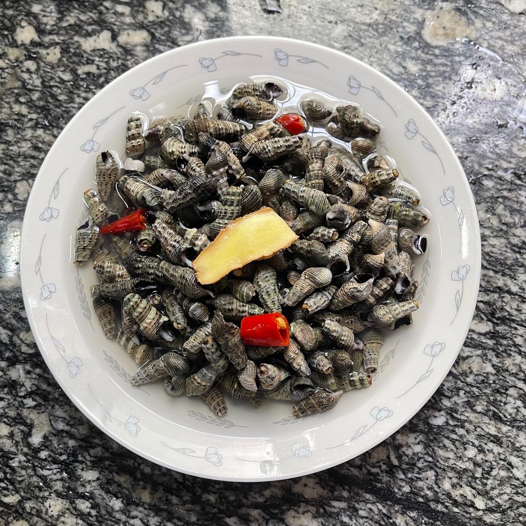 盐水海螺丝的做法 步骤4