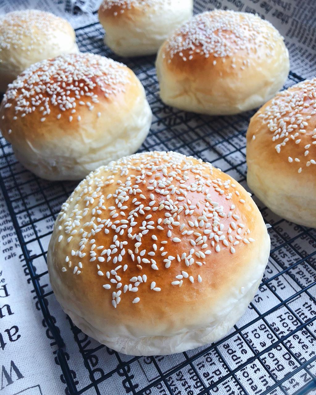 汉堡胚