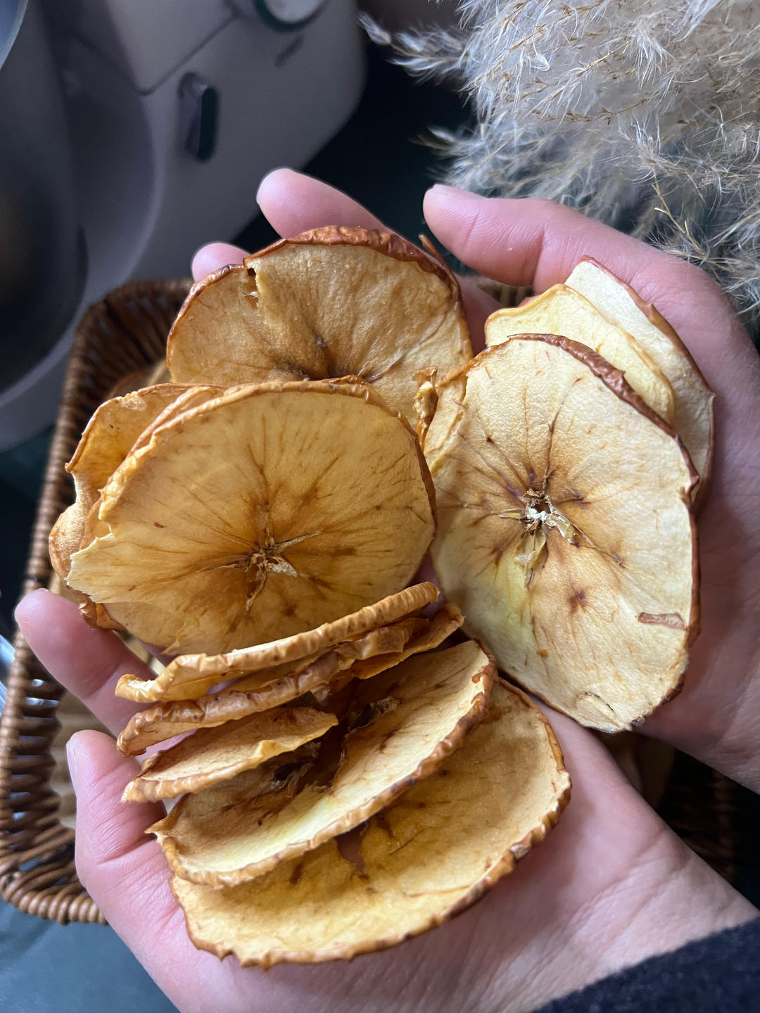 烤箱空气炸锅轻松做苹果干，酥脆清甜无添加！