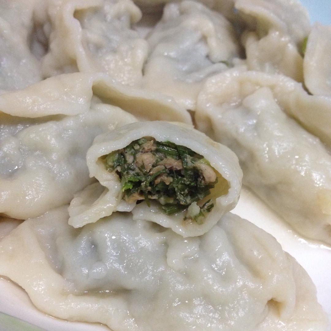 茴香饺子