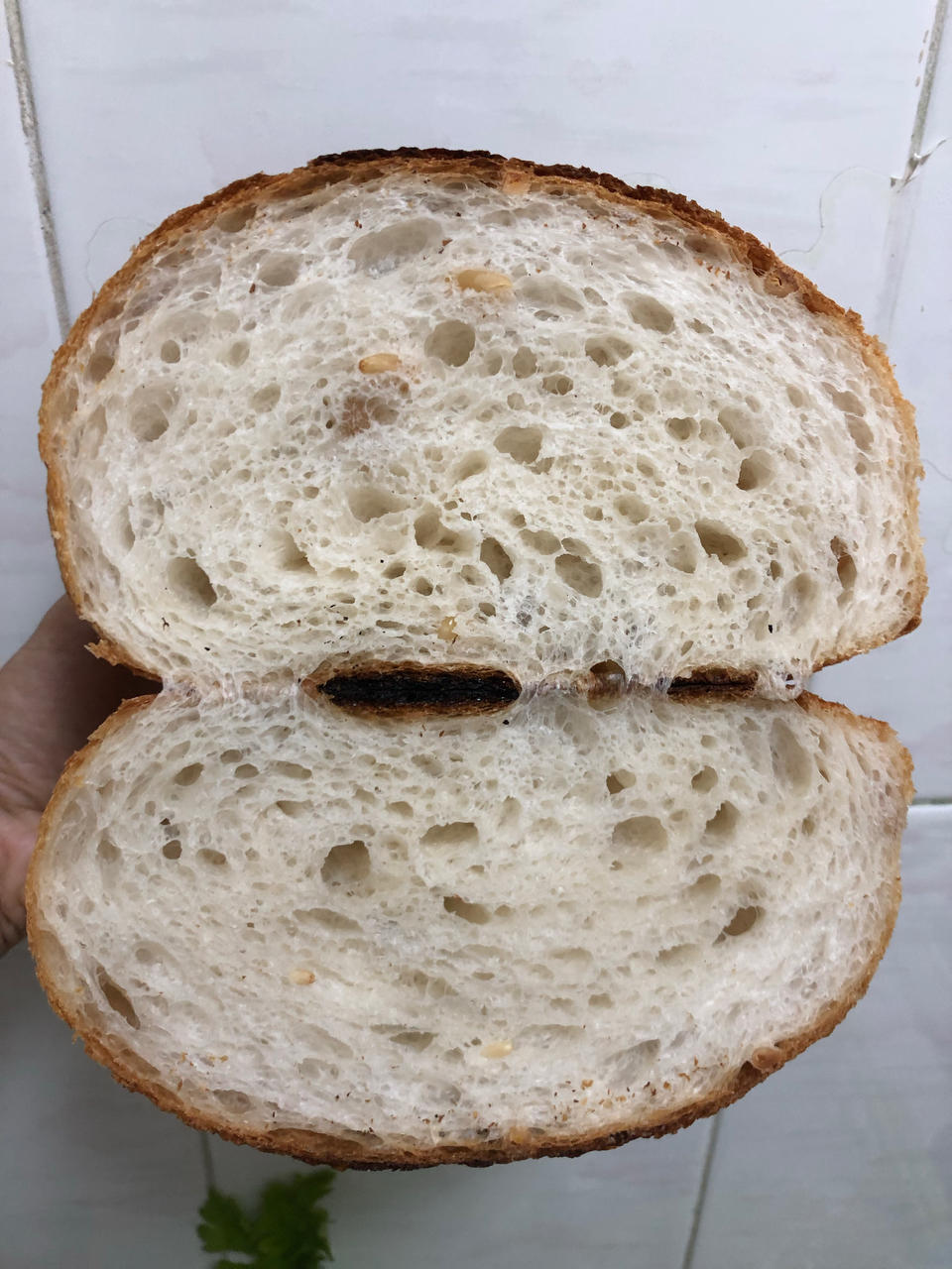 乡村欧包（家庭烤箱蒸汽解决方案）