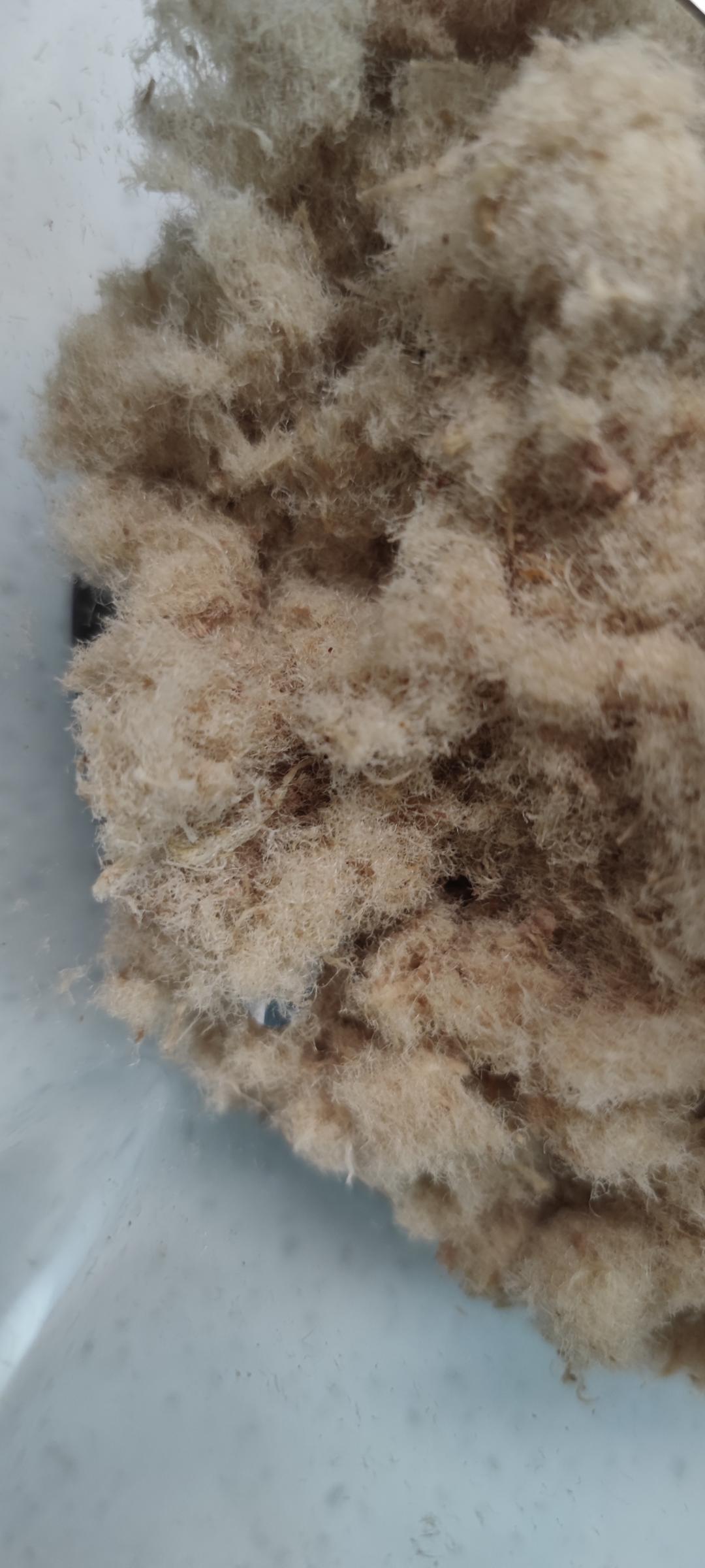 宝宝辅食元气满满牛肉松