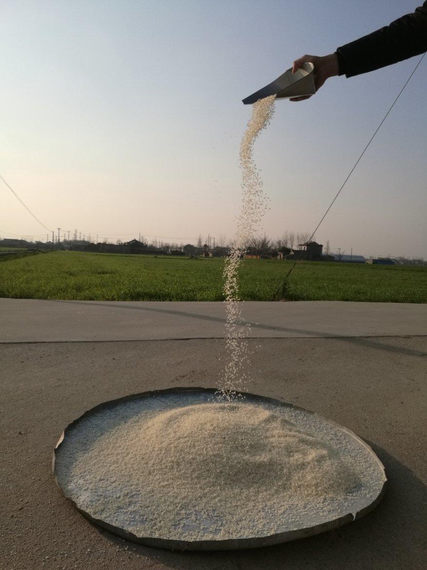 如何煮出一碗高质量的米粥