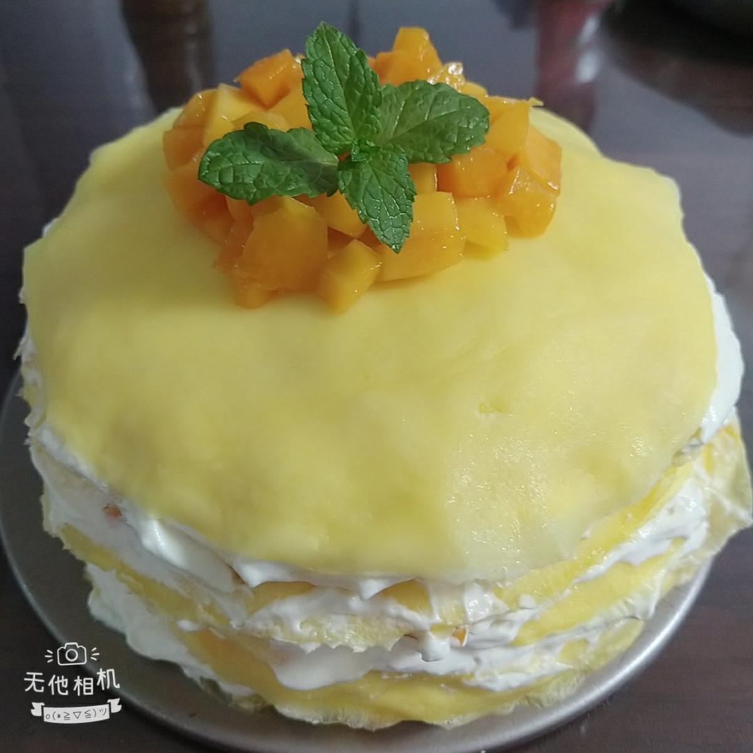 零失败芒果千层