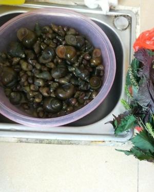紫苏韭菜炒螺丝(水螺)的做法 步骤1