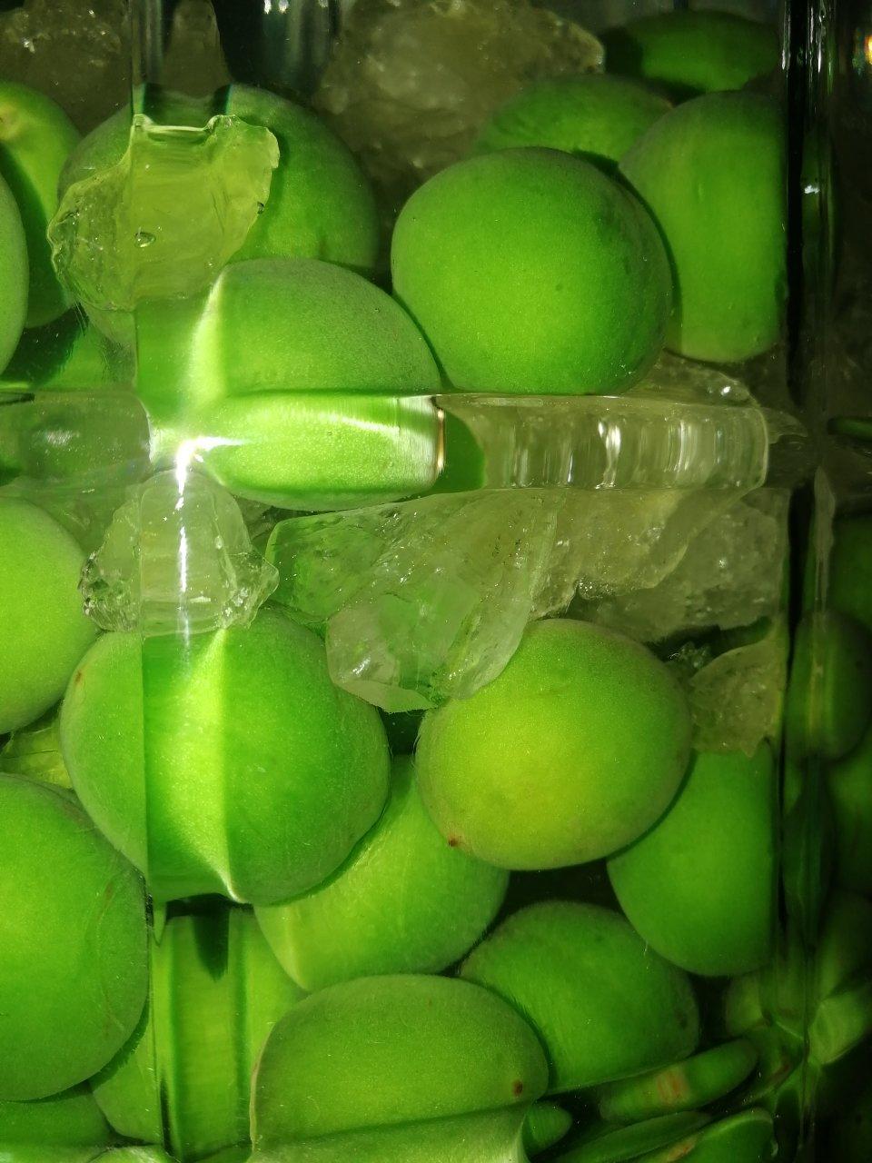 【青梅酒】梅子的沉醉时光（已填坑）