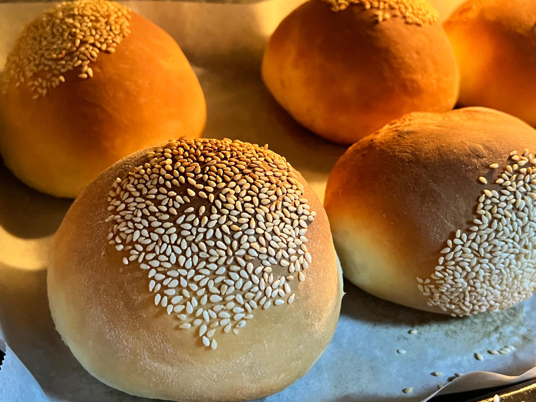 记录一个超级软的万用汉堡胚（波兰种）