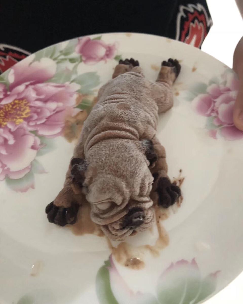 慕斯沙皮狗