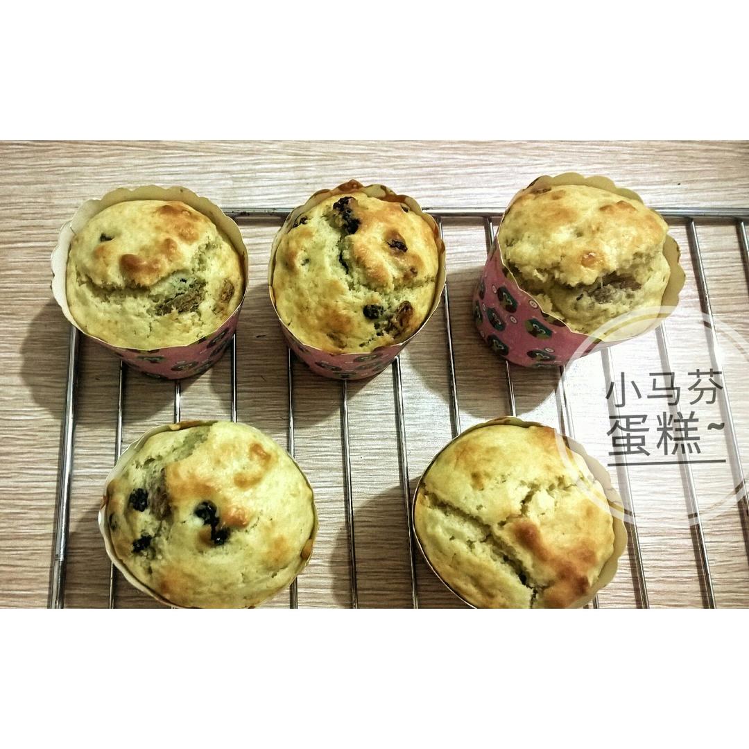 蔓越莓麦芬蛋糕