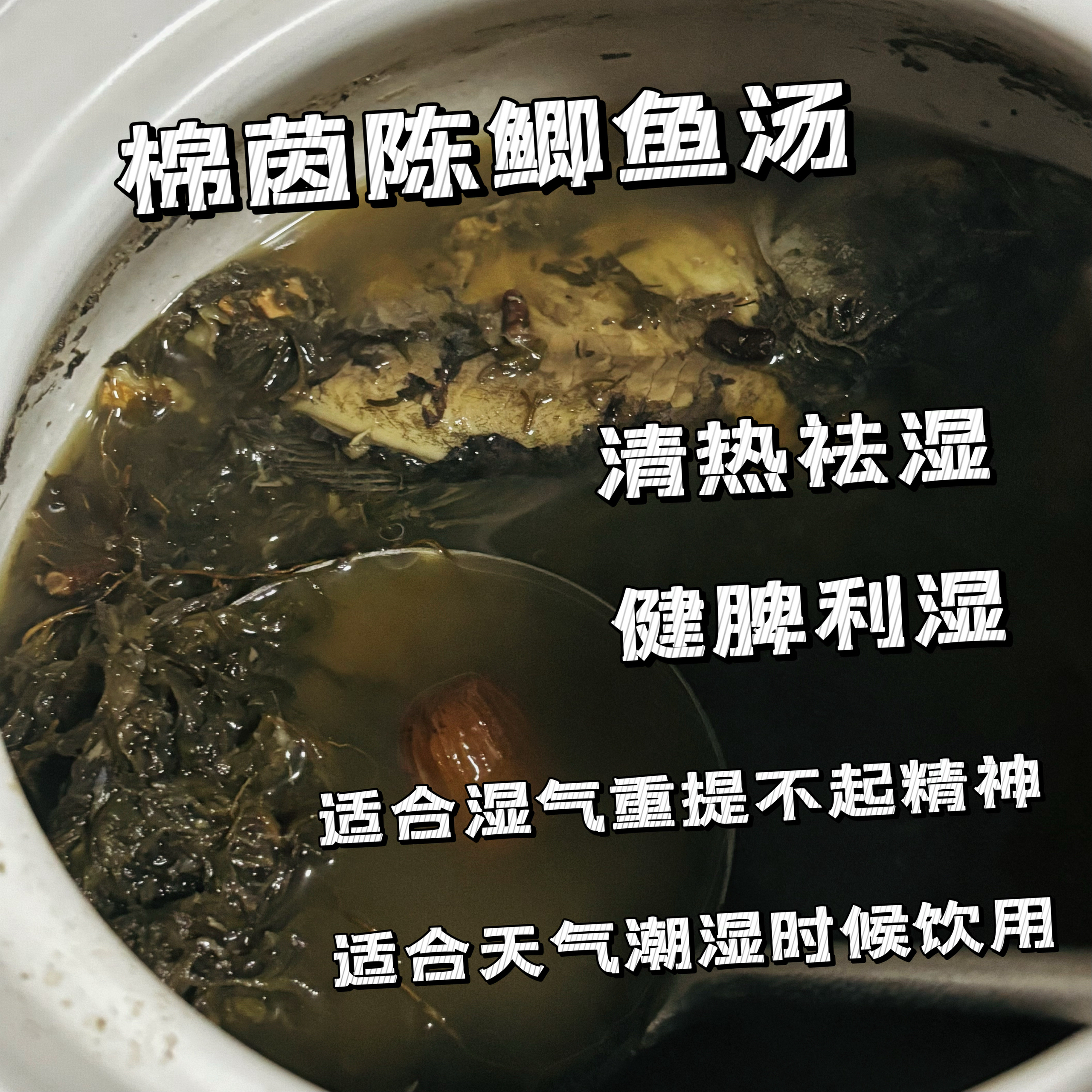 棉茵陈鲫鱼祛湿汤的做法