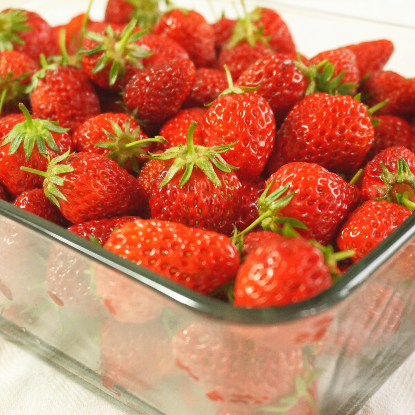 今冬第一颗草莓